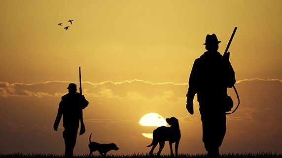 protection auditive chasse tir protection auditive chasse tir